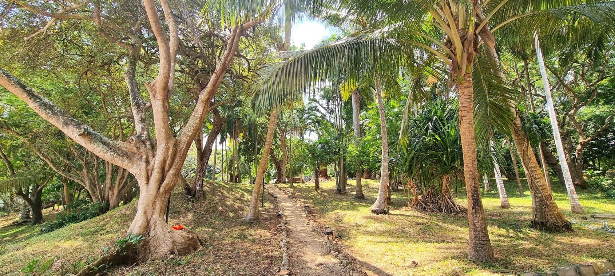 Mbweni Ruins & Gardens Previously Jungle Paradise Zanzibar Exterior photo