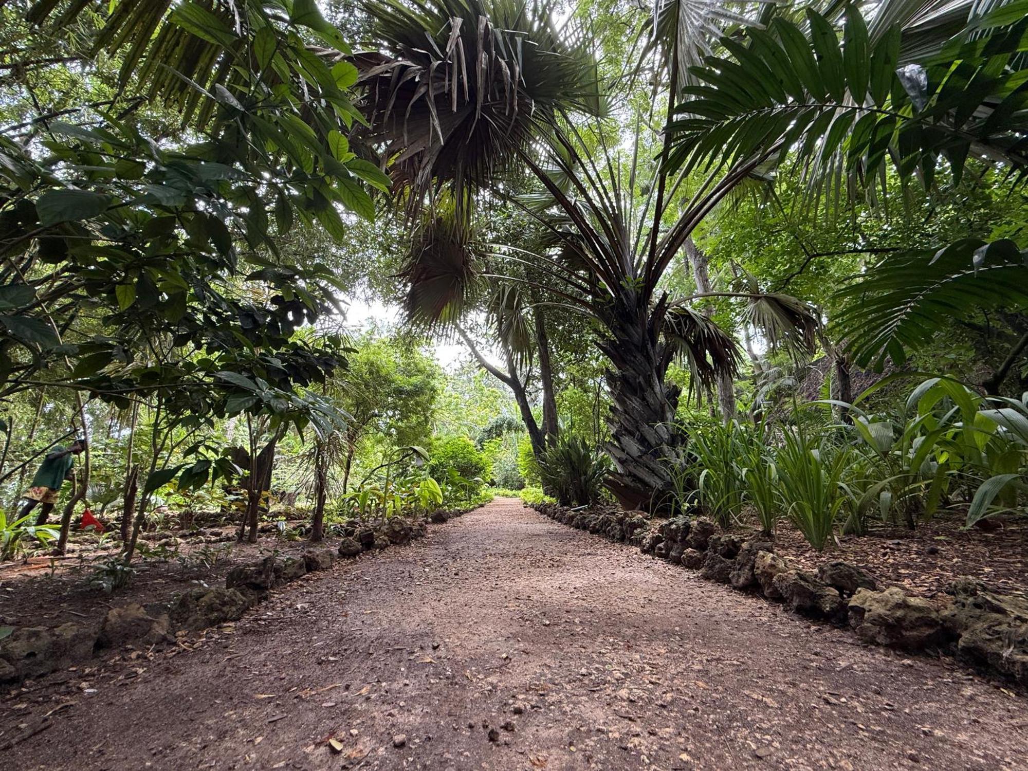 Mbweni Ruins & Gardens Previously Jungle Paradise Zanzibar Exterior photo