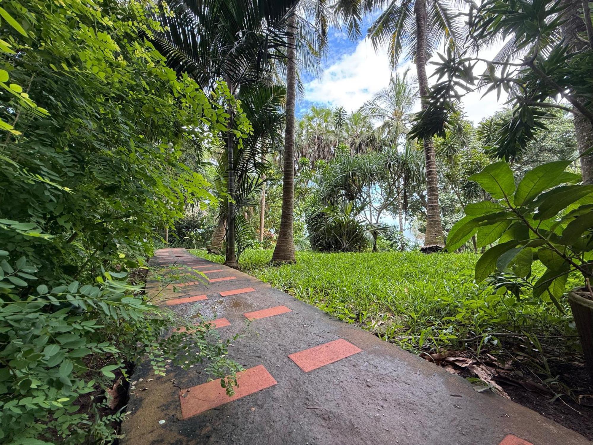 Mbweni Ruins & Gardens Previously Jungle Paradise Zanzibar Exterior photo